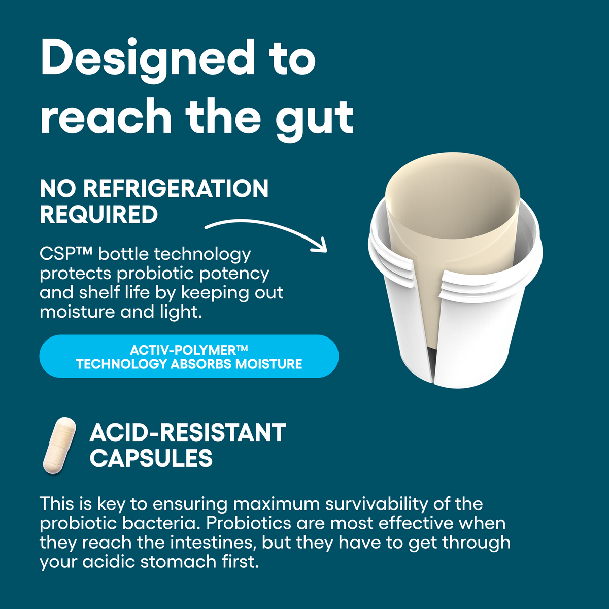 60 Billion Probiotic Digestive Support